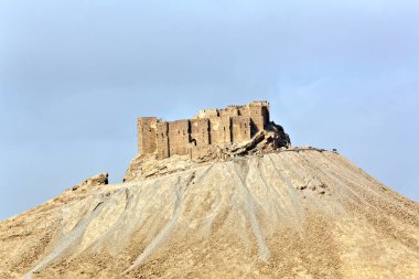 Palmira Şatosu Suriye