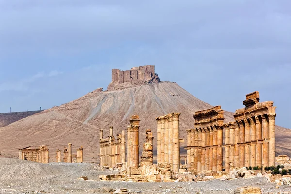 Colonnade et Château Palmyre Syrie — Photo