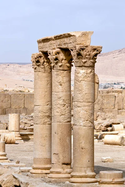 Sloupce Palmyra Sýrie — Stock fotografie