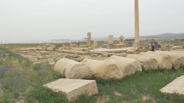 Pasargad Iran May 2015 Group Tourists Sightseeing Archaeological Site Old — Stock Video
