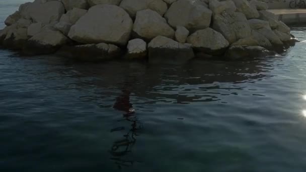 Abfahrt Vom Kleinen Hafen Tucepi Einem Sonnigen Tag Der Adriaküste — Stockvideo