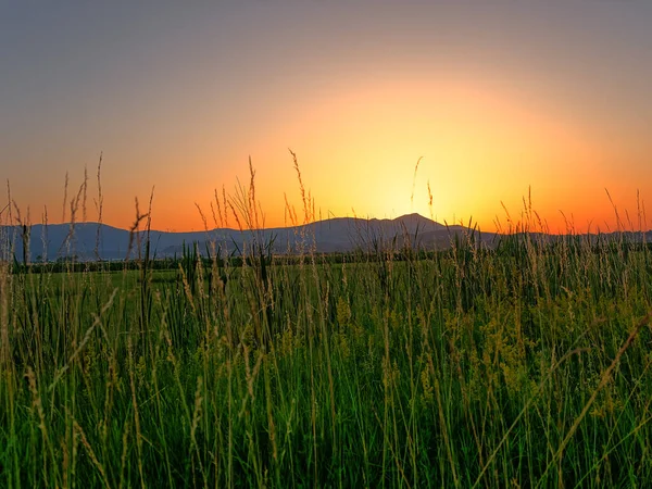 Beautiful Landscape Grass Countryside Sinj Croatia Sunset —  Fotos de Stock