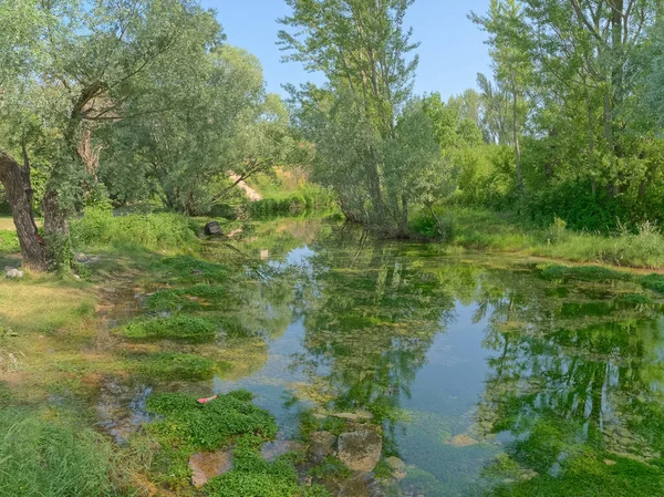 Vista Nascente Rio Cetina Croácia Uma Bela Paisagem Perto Sinj — Fotografia de Stock