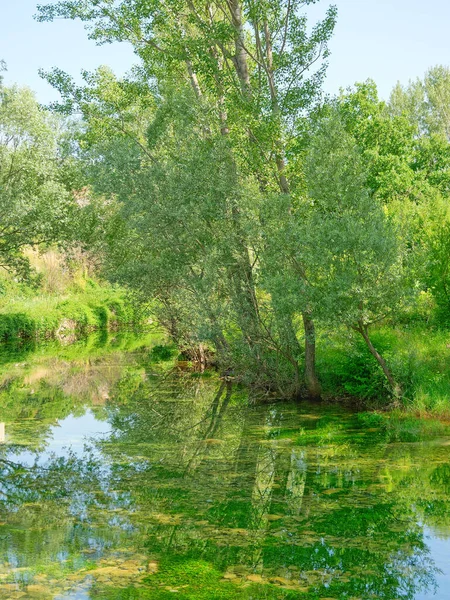 Uitzicht Bron Van Rivier Cetina Kroatië Een Prachtig Landschap Bij — Stockfoto