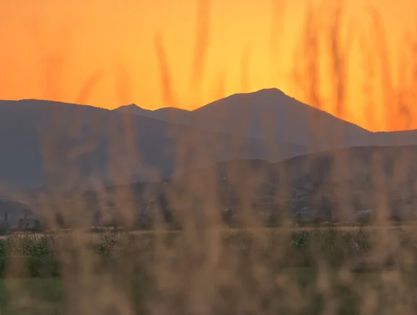 Beautiful Landscape Grass Countryside Sinj Croatia Sunset — ストック写真