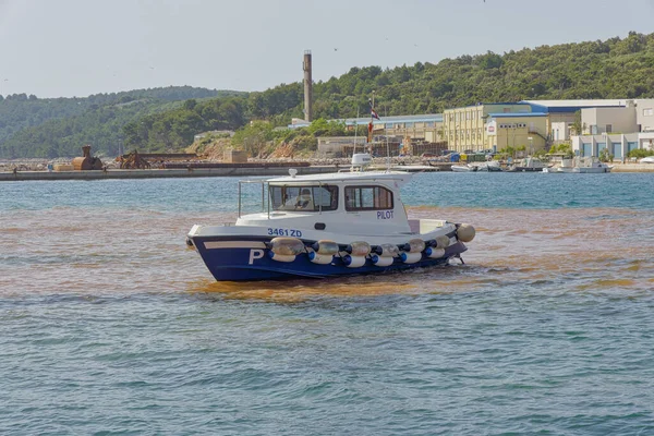 Sali Croatia May 2022 Pilot Boat Supervises Construction Activities Old — 图库照片