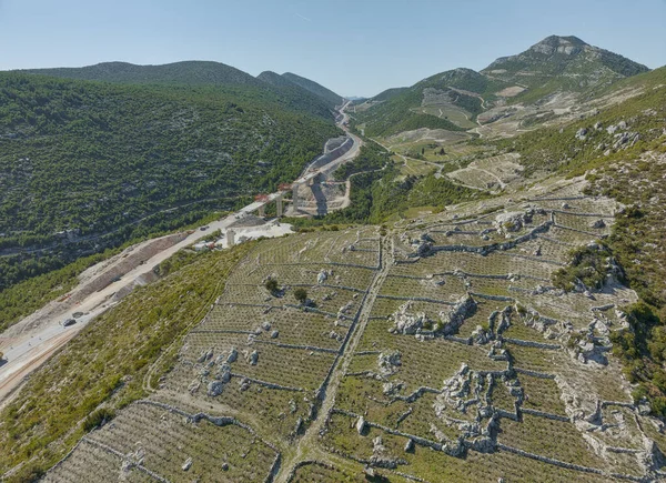 Traditionele Mediterrane Wijngaarden Heuvels Het Schiereiland Peljesac Bij Ston Dorp — Stockfoto