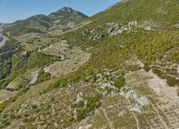 Traditional Mediterranean vineyards in the hills at Peljesac peninsula near Ston and village Prapratno, Croatia