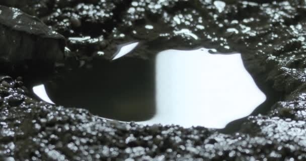 Ρίχνοντας Νερό Αργή Κίνηση Στα Εγκαίνια Του Σπηλαίου Τουνιτσίτσα Κοντά — Αρχείο Βίντεο