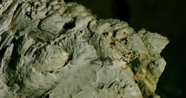 크로아티아의 카를로 바크군의 근처에 동굴에 가이동하는 — 비디오