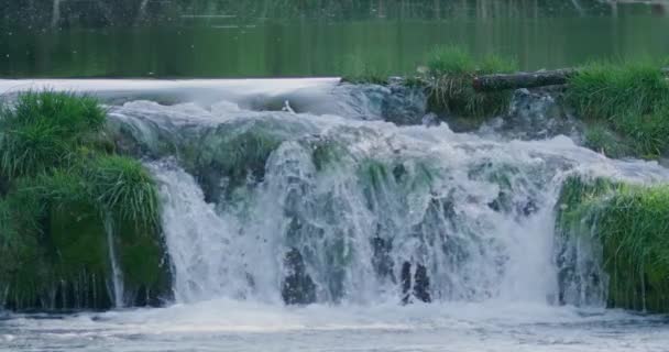 Cascate Vicino Girato Rallentatore Sul Fiume Mreznica Croazia Fiume Abbondante — Video Stock