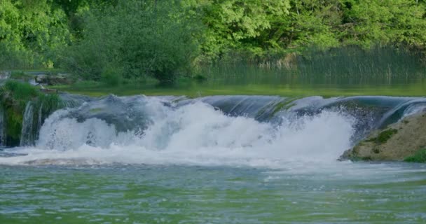 크로아티아의 므레즈니차 강에서는 느림보 사격으로 있습니다 통나무배의 흐르는 — 비디오