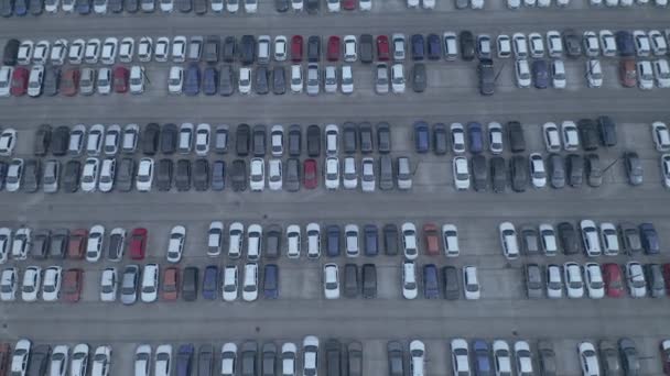 天気ネットで覆われた新しい未販売の車の駐車場の空中ビュー — ストック動画