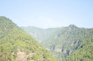 Ormanlı bir dağ manzarası