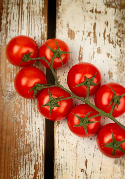 Bando de tomates — Fotografia de Stock