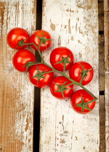 Bando de tomates — Fotografia de Stock