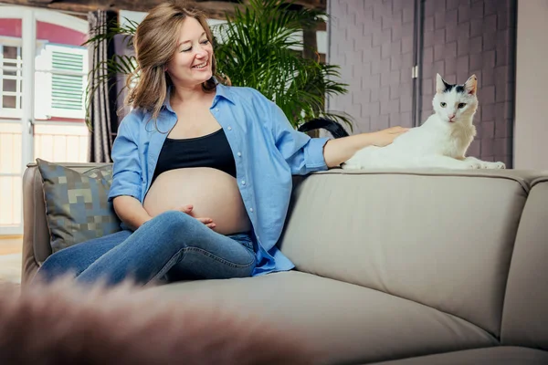 Beautiful Pregnant Woman Her Cat Home — Stok fotoğraf