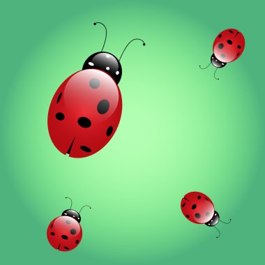 uğur böceği böcek