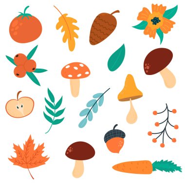 Set. forest flora. Leaves, mushrooms, cones. Vector illustration in modern cute style. Hand draw.