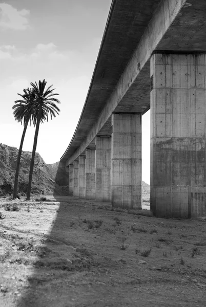 Brigde con palmeras — Foto de Stock