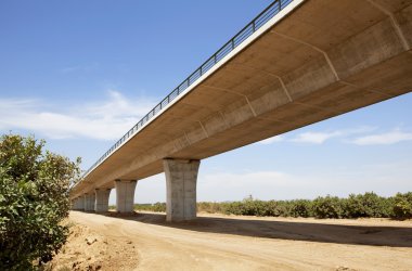 yüksek hızlı köprü alanlarında meyve ağaçları
