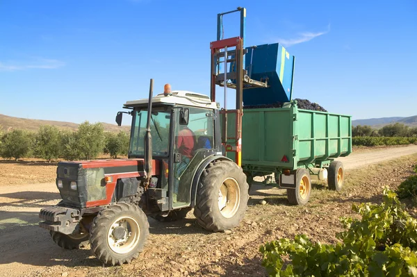 Traktor na vinici — Stock fotografie