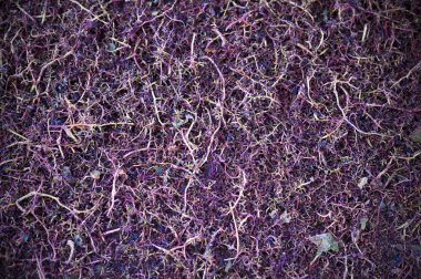 üzüm kümeleri artıkları