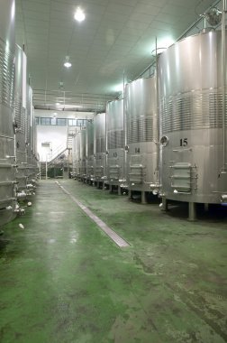 Modern şarap fermantasyon süreci