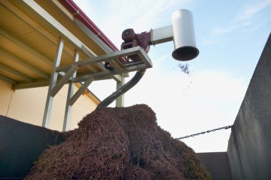 tasfiye oluşum üzüm hasadı