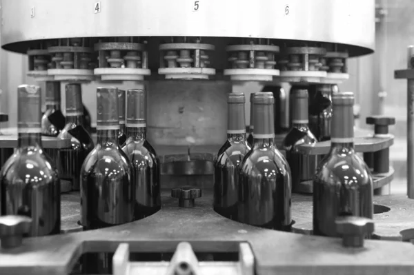 Şarap şişeleme tesisi — Stok fotoğraf