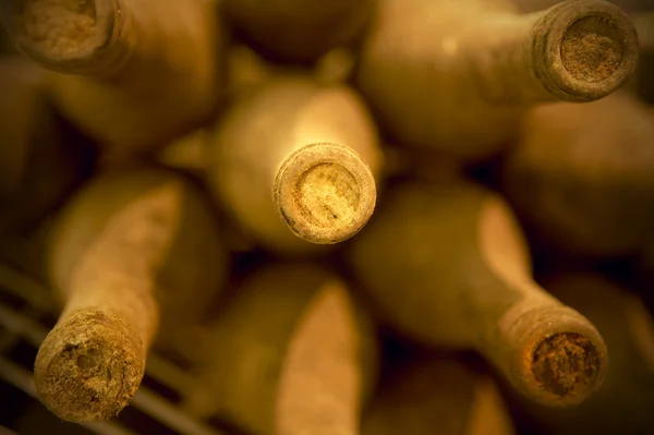 Garrafas de vinho em uma adega envelhecida — Fotografia de Stock