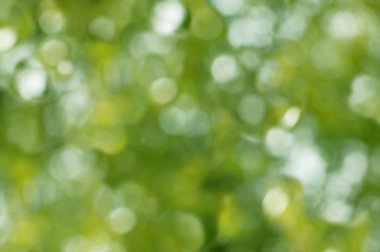 ufuk ışık arka plan