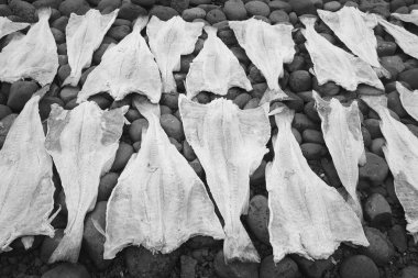 Taşların üzerinde kurutma morina açmak.