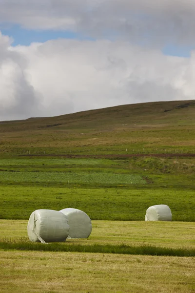 Iceland. West fiords. Pasture with packaged cereals. — Stock Photo, Image