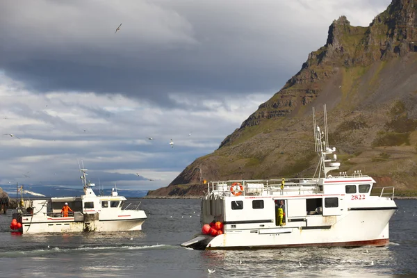 Islandia. Port bolungarvik. łodzie rybackie. Obrazek Stockowy