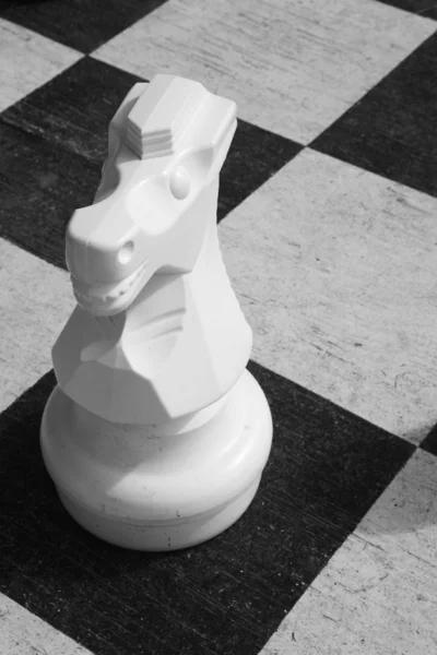 Chess game. Giant piece. White knight. — Stock Photo, Image