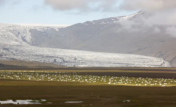 Island. sydöstra området. flaajokul glaciär och fält. — Stockfoto