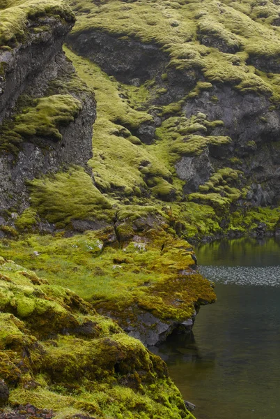 Iceland. South area. Lakagigar. Tjarnargigur. Volcanic crater wi — Stock Photo, Image