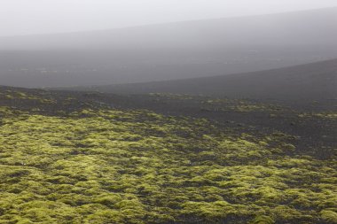 İzlanda. Güney bölgesi. lakagigar. volkanik manzara.