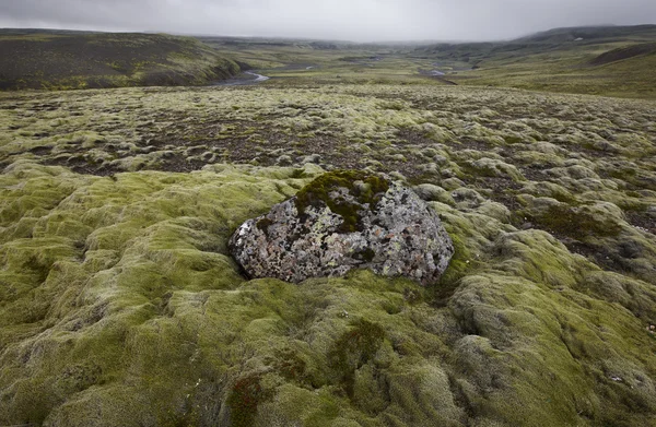 Iceland. South area. Lakagigar. Volcanic landscape. — Stock Photo, Image