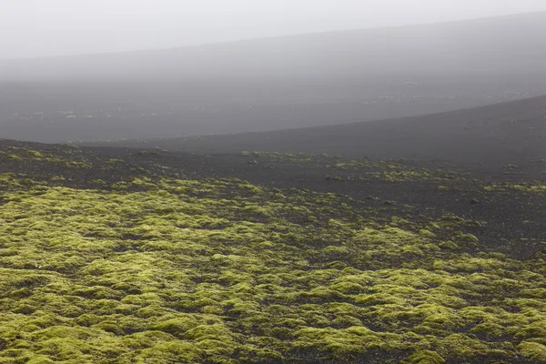 IJsland. Zuid-gebied. spleetvulkaan. vulkanische landschap. — Stockfoto