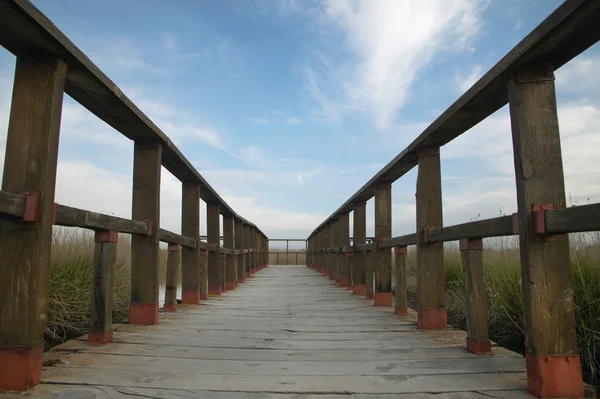 Footbridge walkway. Wetland landscape. Tablas de Daimiel. Ciudad