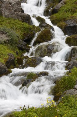 İzlanda. seydisfjordur. şelale ve bazaltik kayalar.