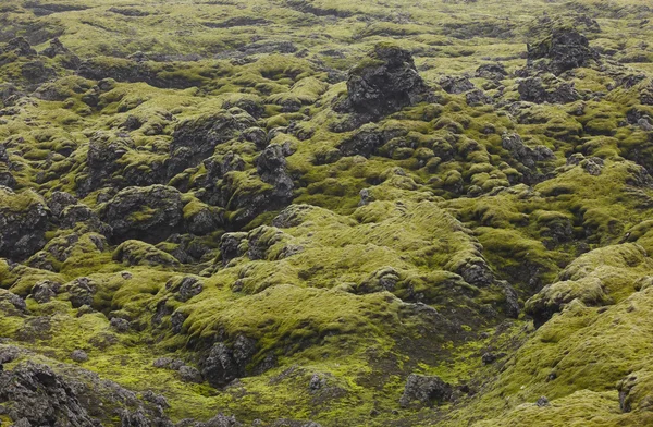 Iceland. South area. Lakagigar. Volcanic landscape. — Stock Photo, Image