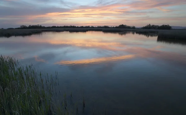 Wetland landscape Sunset. — Stock Photo, Image