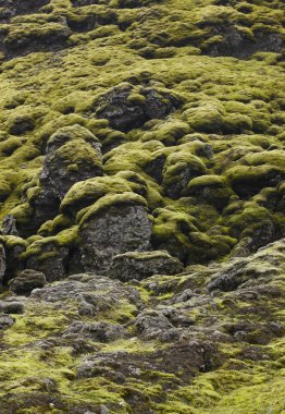 İzlanda. Güney bölgesi. lakagigar. volkanik manzara.