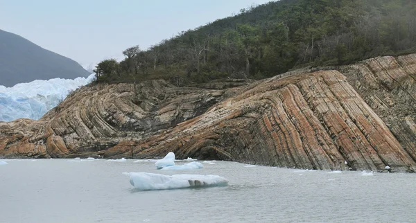 Eisberge treiben auf einem See mit Waldhintergrund. — Stockfoto
