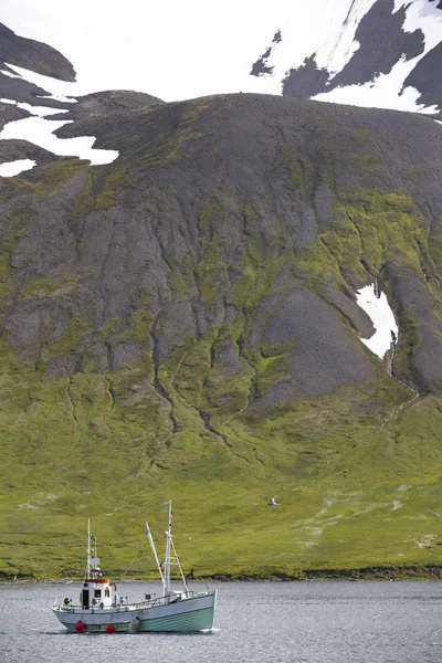 Islande. Fjord de Siglufjordur avec bateau de pêche . — Photo