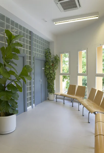 Modern building interior with plants and windows — Stock Photo, Image