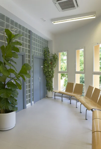 Moderno edificio interior con plantas y ventanas — Foto de Stock